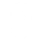 Cyber security icon